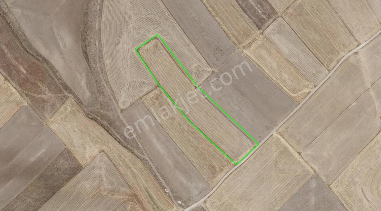 Afyon Emirdağ Örenköy De Kadastral Yola Cepheli Fırsatt !! - Görsel 2