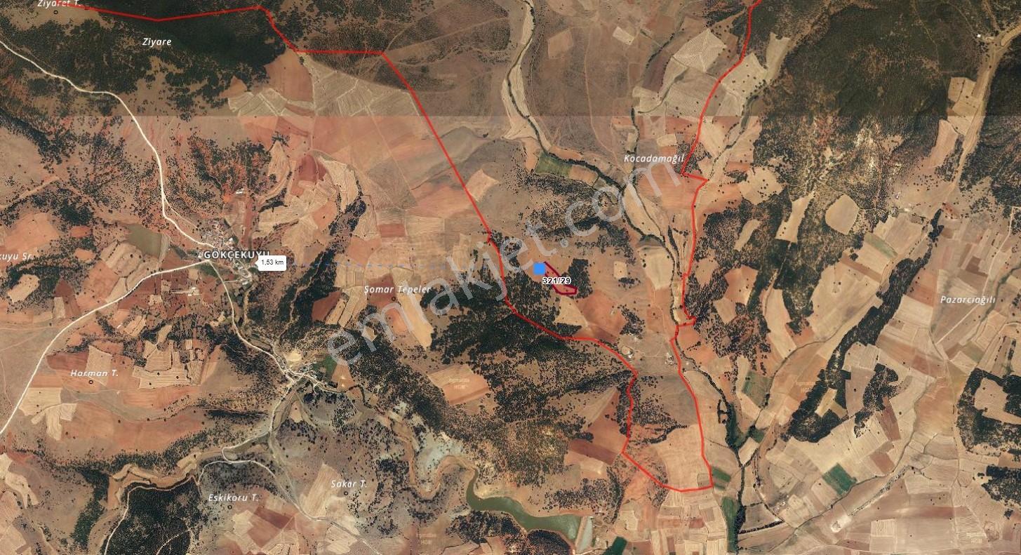 Konya Beyşehir Gökçekuyuda Fırsat Tarla - Görsel 4