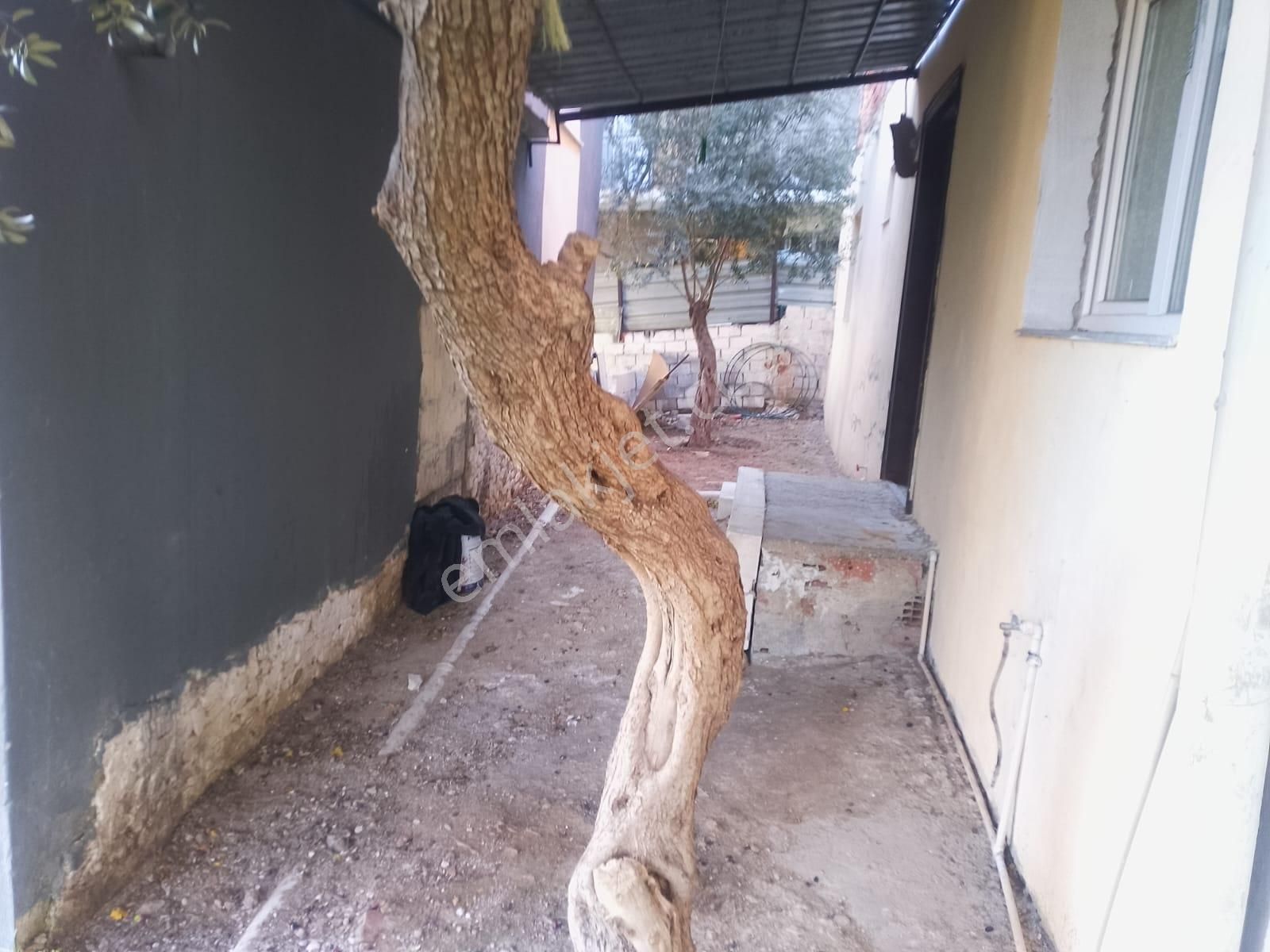 İlay Grouptan Torbalı Kuşçuburunda Satılık Dükkan - Görsel 5