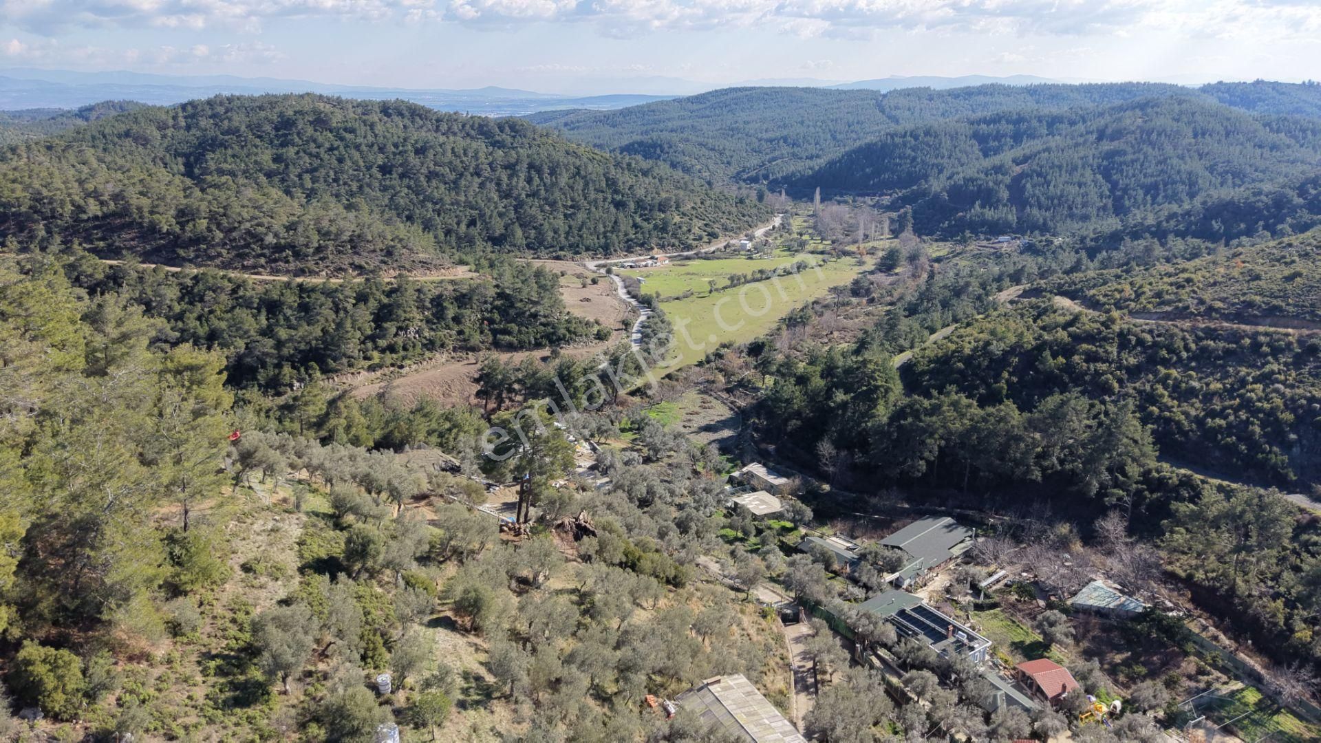 Çatalcada Satılık Tektapu 20.000 M2 Gaziemire 10 Dk Mesafede Kelepir Arazi - Görsel 6