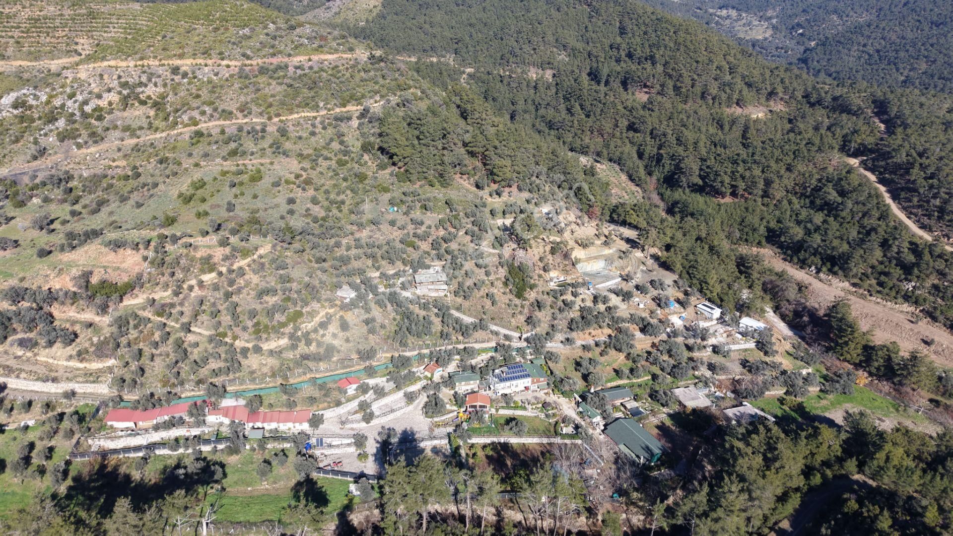 Çatalcada Satılık Tektapu 20.000 M2 Gaziemire 10 Dk Mesafede Kelepir Arazi - Görsel 9