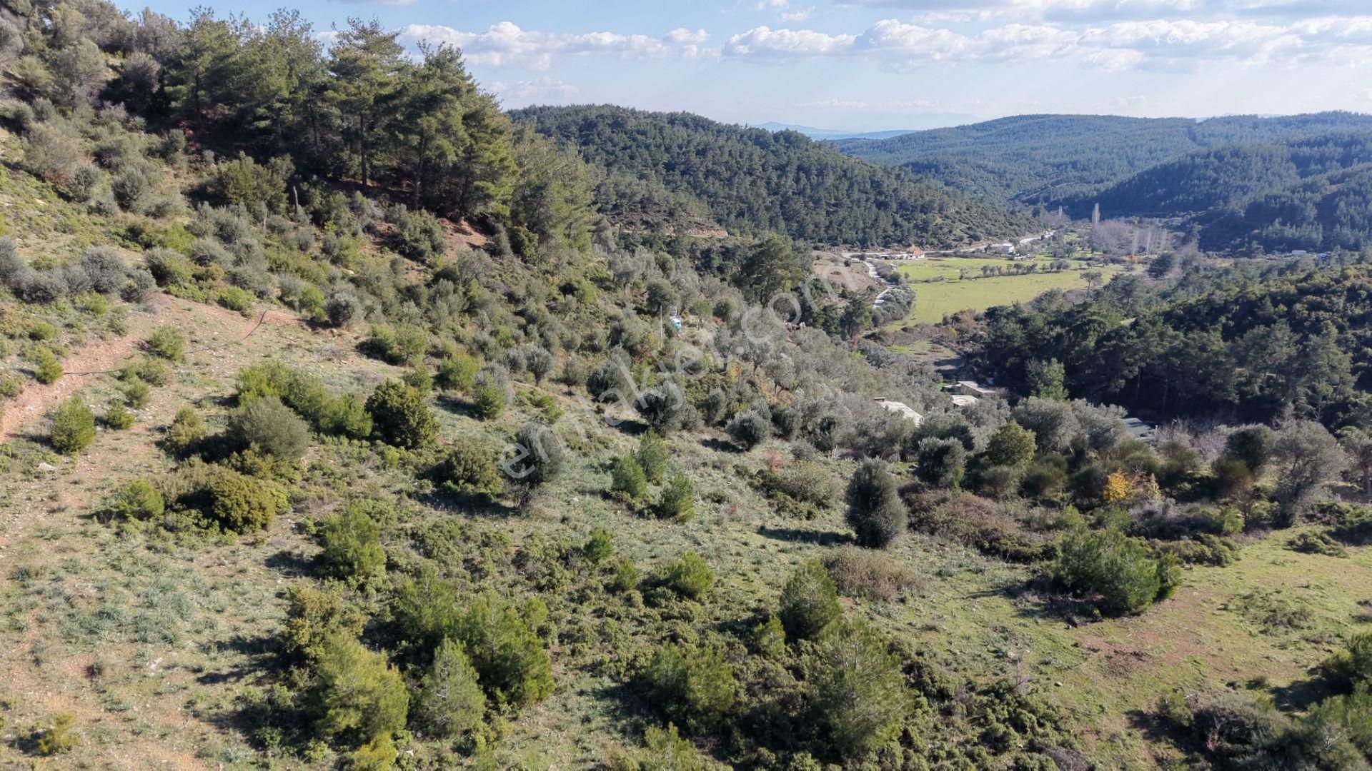 Çatalcada Satılık Tektapu 20.000 M2 Gaziemire 10 Dk Mesafede Kelepir Arazi - Görsel 4