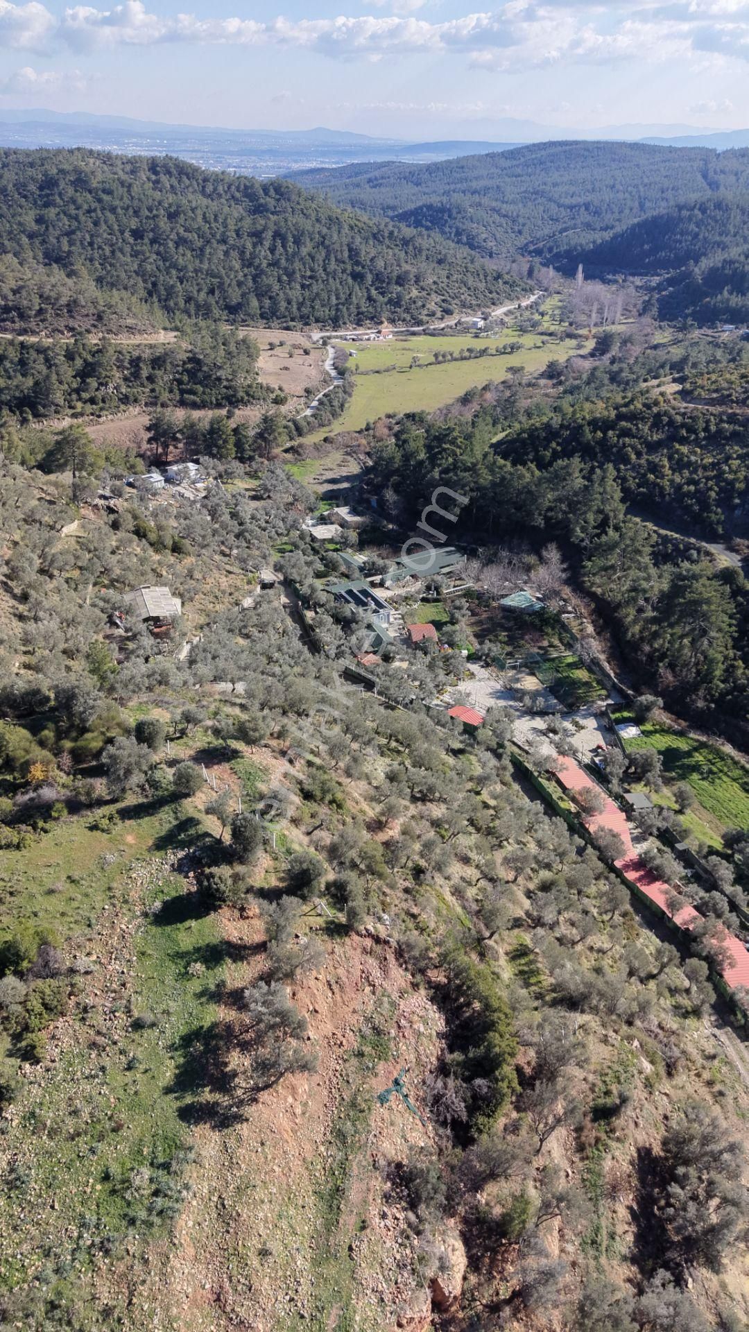 Çatalcada Satılık Tektapu 20.000 M2 Gaziemire 10 Dk Mesafede Kelepir Arazi - Görsel 12