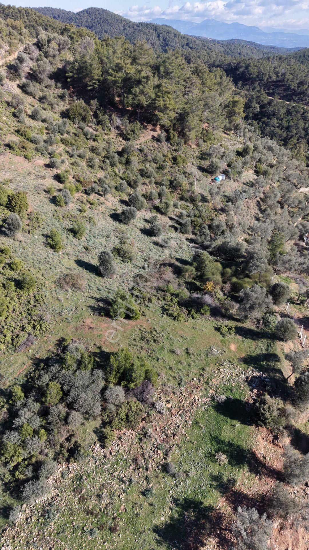 Çatalcada Satılık Tektapu 20.000 M2 Gaziemire 10 Dk Mesafede Kelepir Arazi - Görsel 18