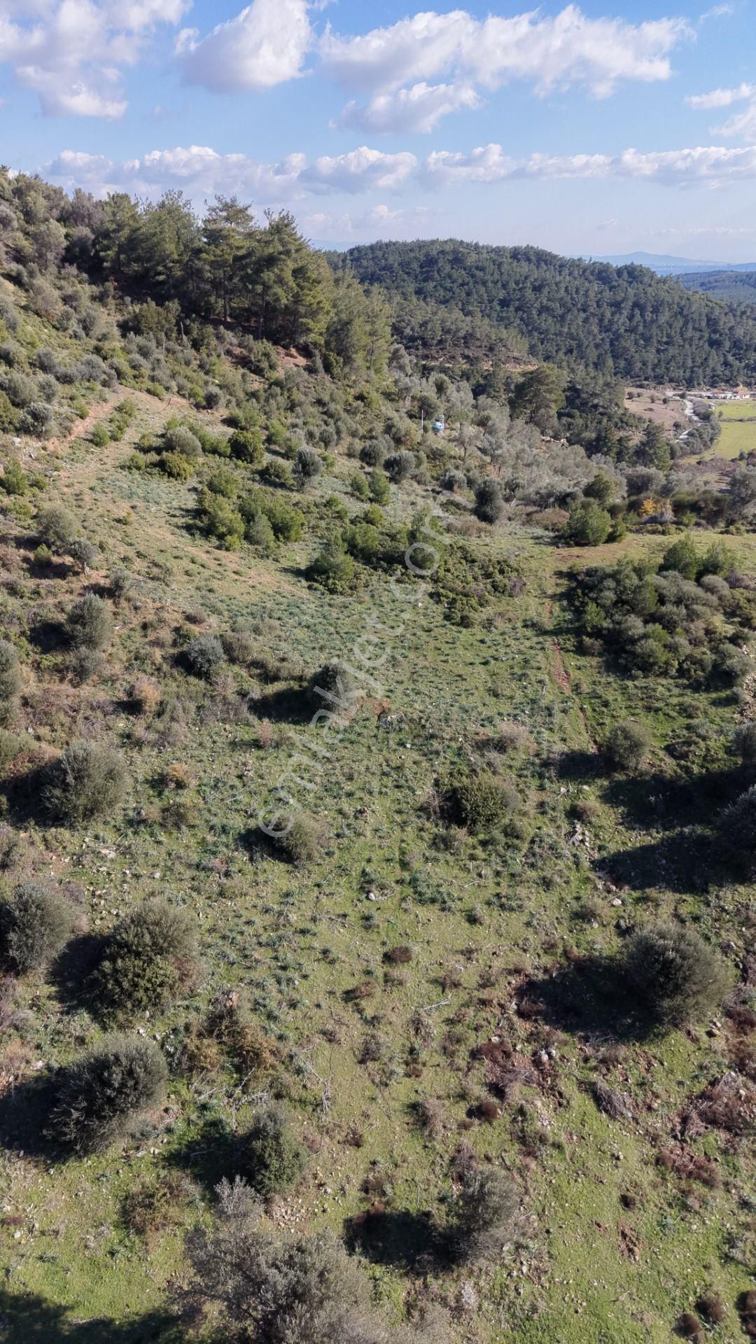 Çatalcada Satılık Tektapu 20.000 M2 Gaziemire 10 Dk Mesafede Kelepir Arazi - Görsel 16