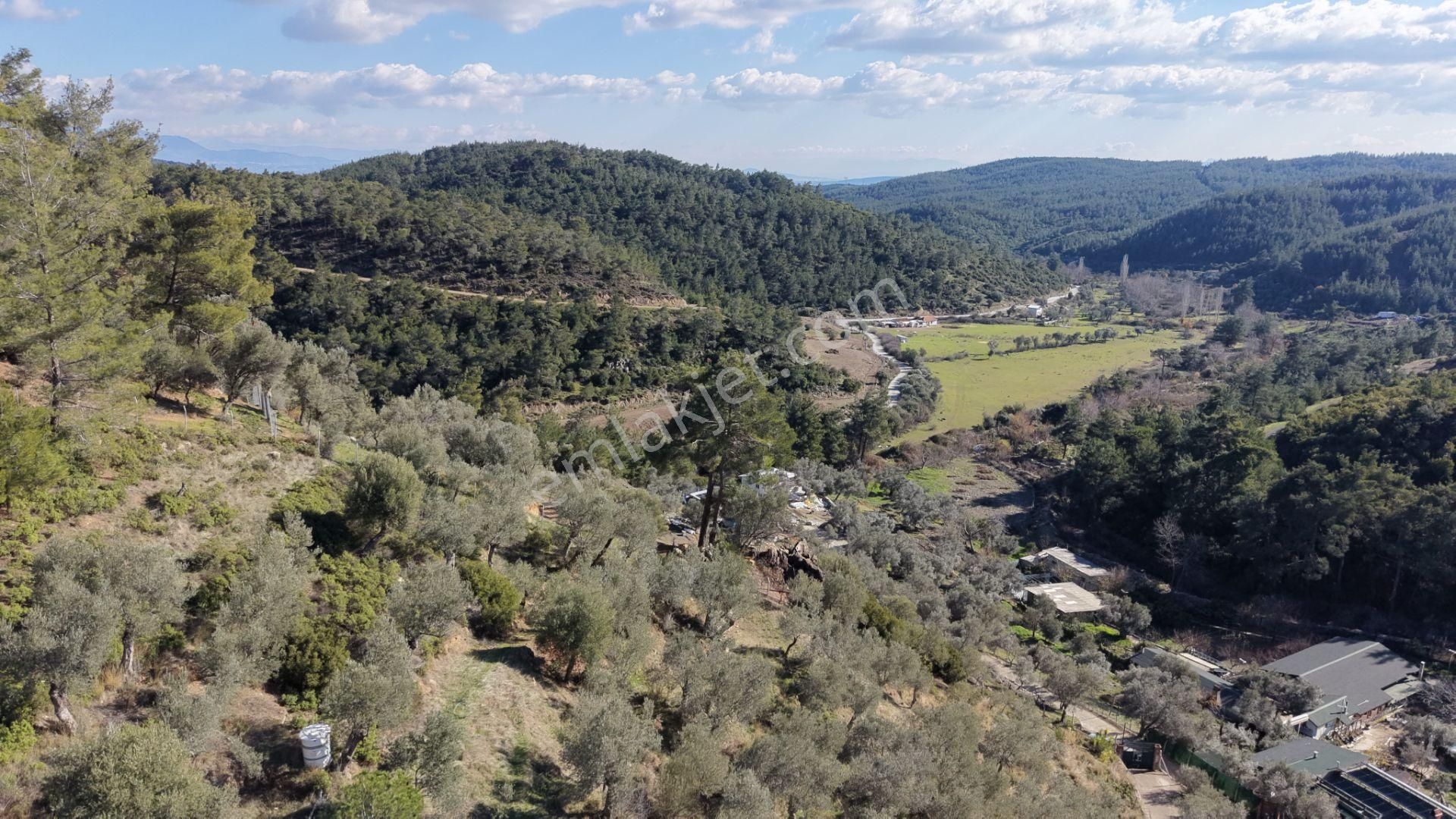 Çatalcada Satılık Tektapu 20.000 M2 Gaziemire 10 Dk Mesafede Kelepir Arazi - Görsel 5
