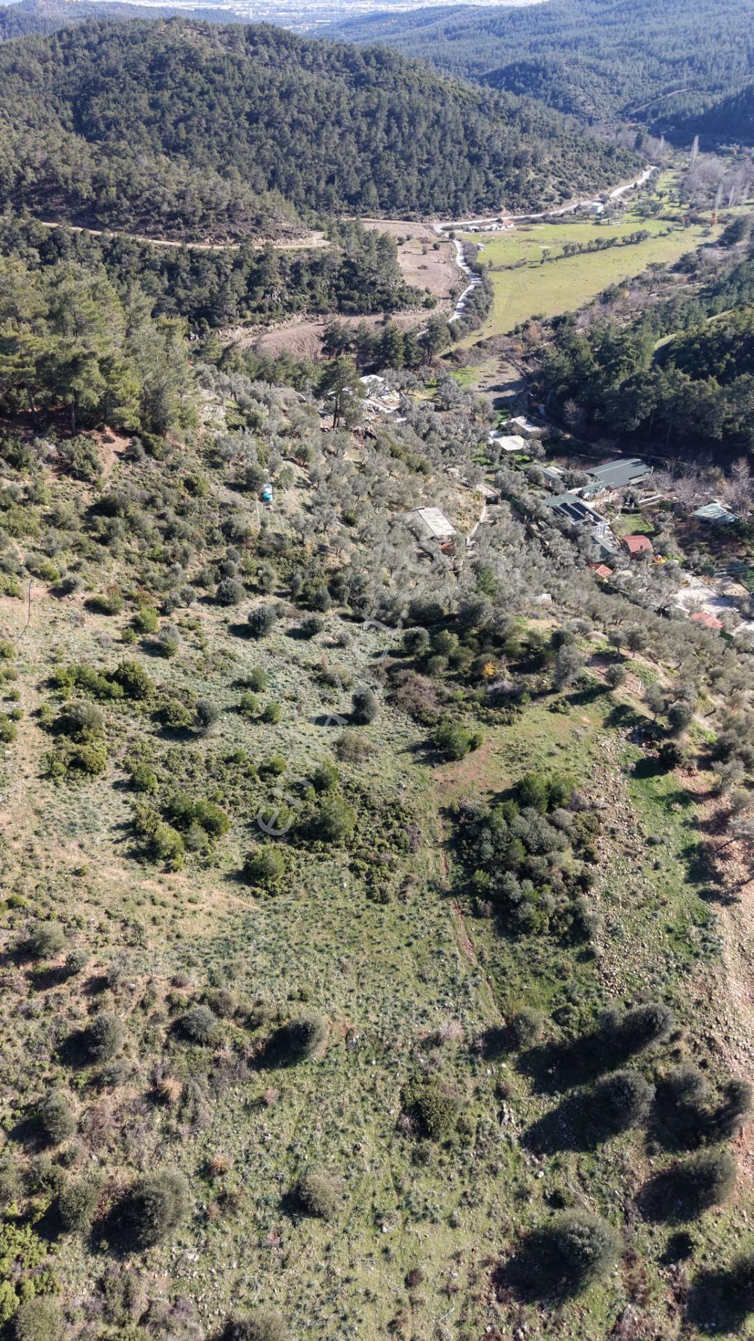 Çatalcada Satılık Tektapu 20.000 M2 Gaziemire 10 Dk Mesafede Kelepir Arazi - Görsel 20