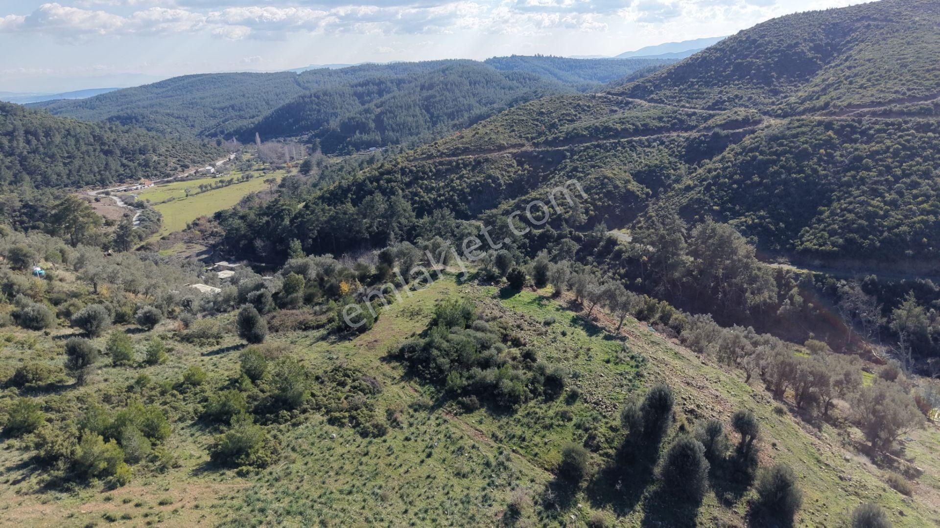 Çatalcada Satılık Tektapu 20.000 M2 Gaziemire 10 Dk Mesafede Kelepir Arazi - Görsel 3