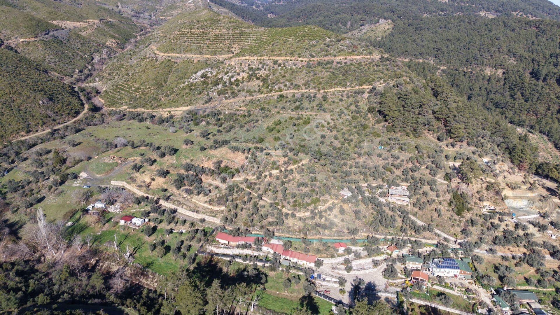 Çatalcada Satılık Tektapu 20.000 M2 Gaziemire 10 Dk Mesafede Kelepir Arazi - Görsel 10