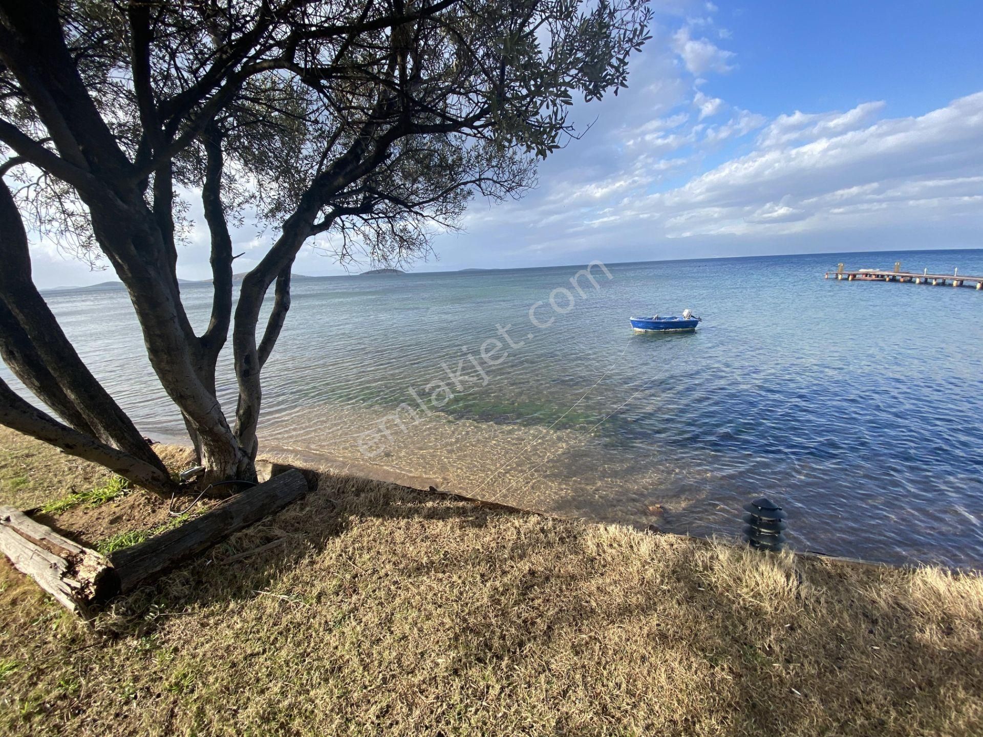 Balıkesir Ayvalık Ta Satılık Muhtesem Villa.denize Sıfır. - Görsel 2