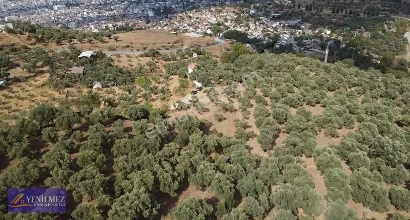 Tire Merkeze Yakın Satılık Evi Olan Manzaralı Arazi - Görsel 25