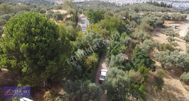 Tire Merkeze Yakın Satılık Evi Olan Manzaralı Arazi - Görsel 19