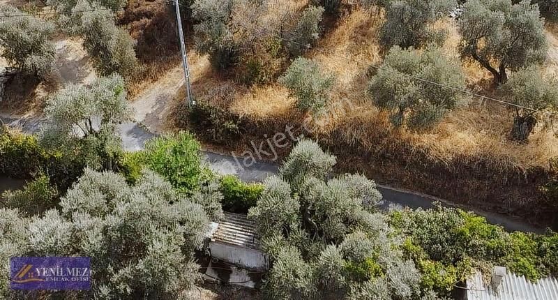 Tire Merkeze Yakın Satılık Evi Olan Manzaralı Arazi - Görsel 4