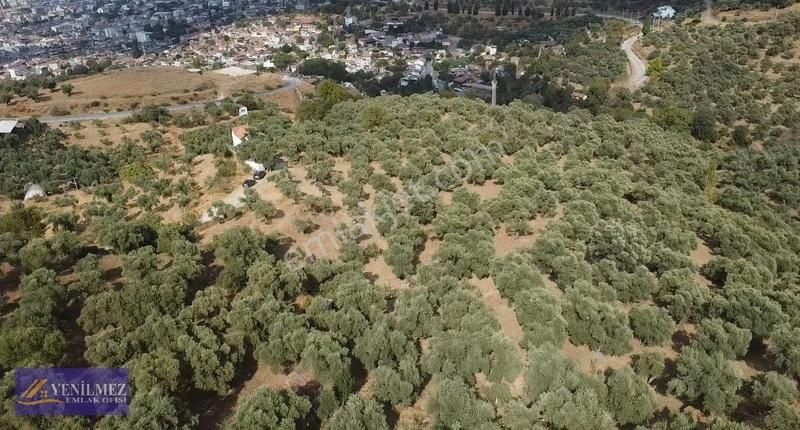 Tire Merkeze Yakın Satılık Evi Olan Manzaralı Arazi - Görsel 27