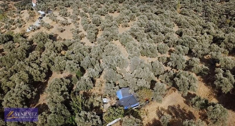 Tire Merkeze Yakın Satılık Evi Olan Manzaralı Arazi - Görsel 30