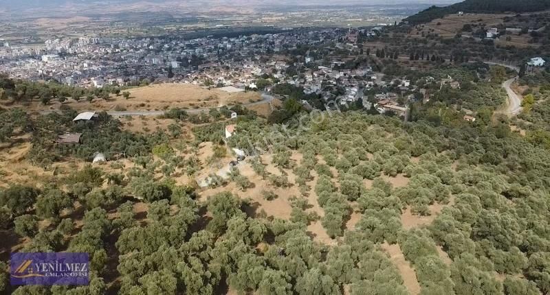 Tire Merkeze Yakın Satılık Evi Olan Manzaralı Arazi - Görsel 18