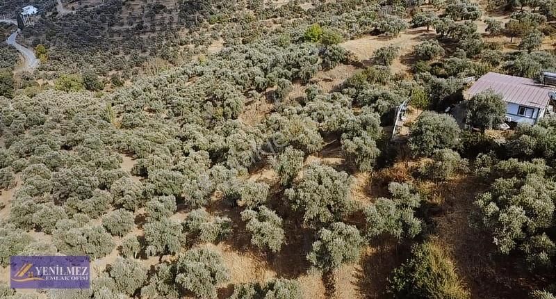 Tire Merkeze Yakın Satılık Evi Olan Manzaralı Arazi - Görsel 29