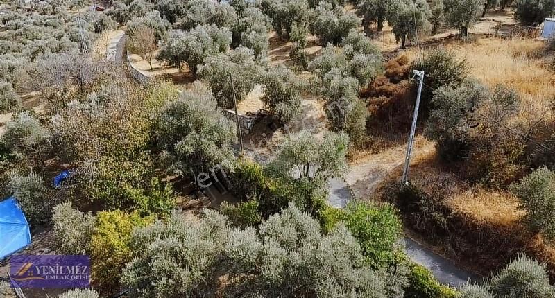Tire Merkeze Yakın Satılık Evi Olan Manzaralı Arazi - Görsel 16