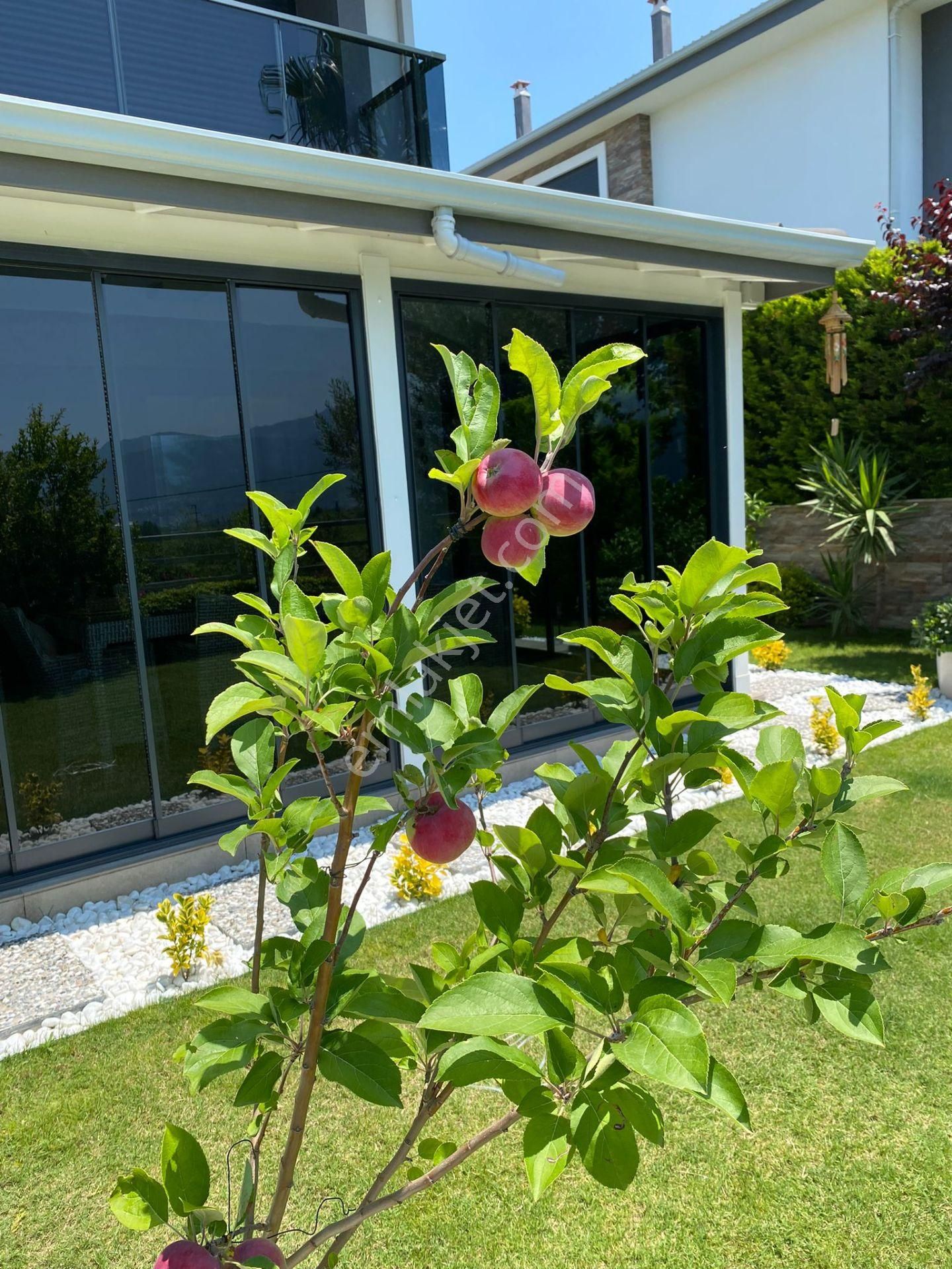 Soğucak'ta 3+1 Bahçeli Villa - Görsel 26