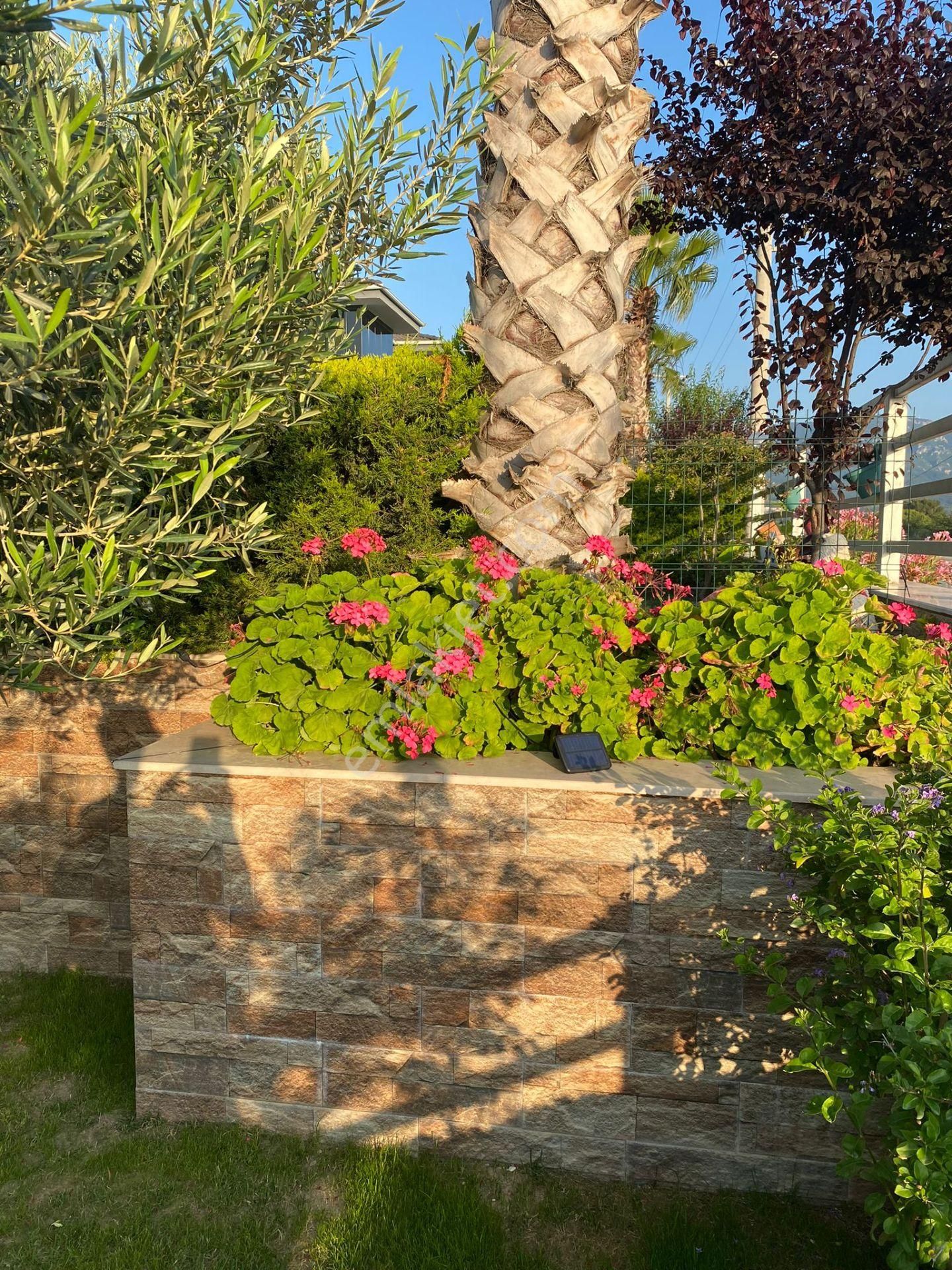 Soğucak'ta 3+1 Bahçeli Villa - Görsel 21