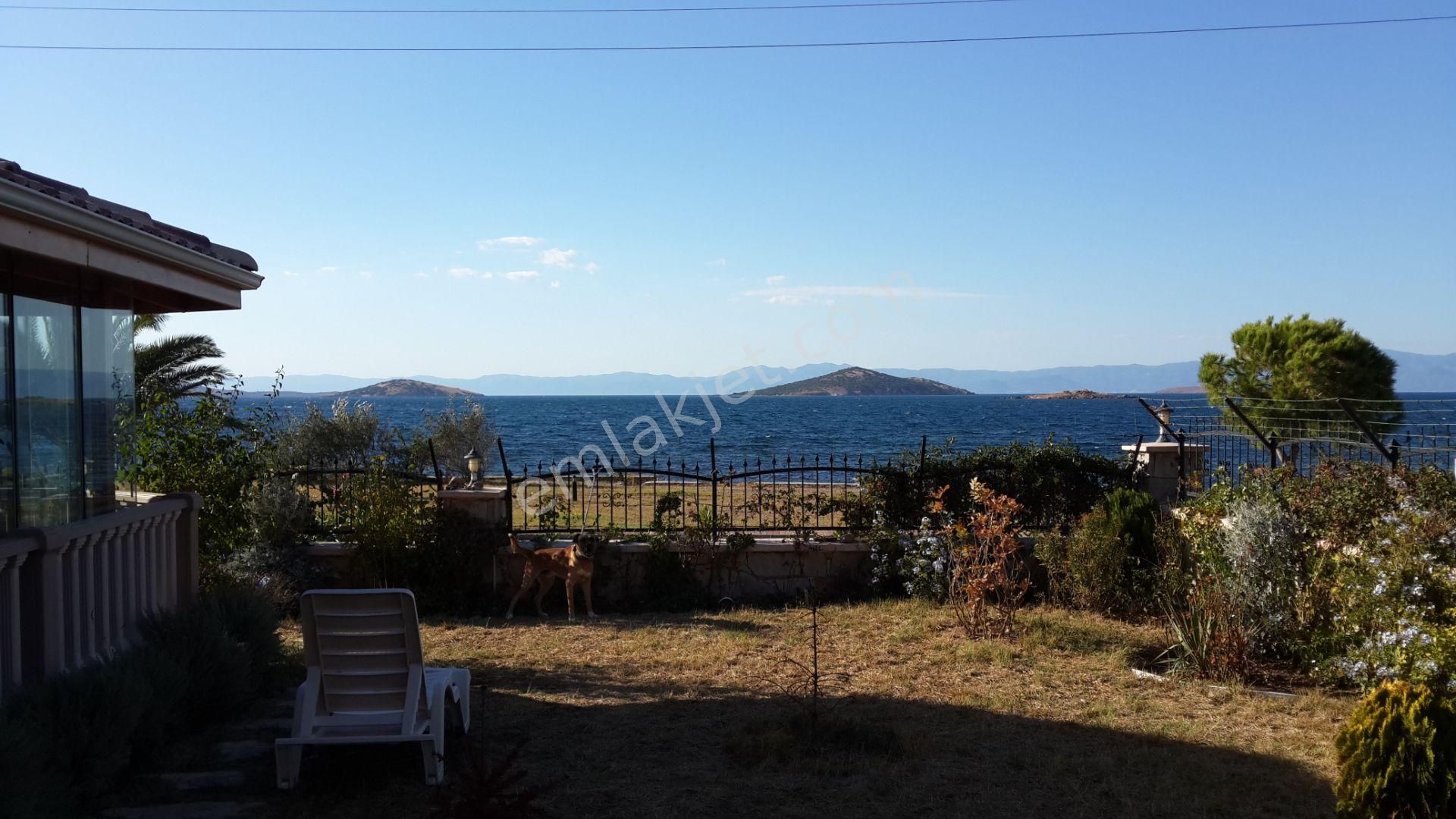 Balıkesir Ayvalık Ta Satılık Muhtesem Villa.denize Sıfır.