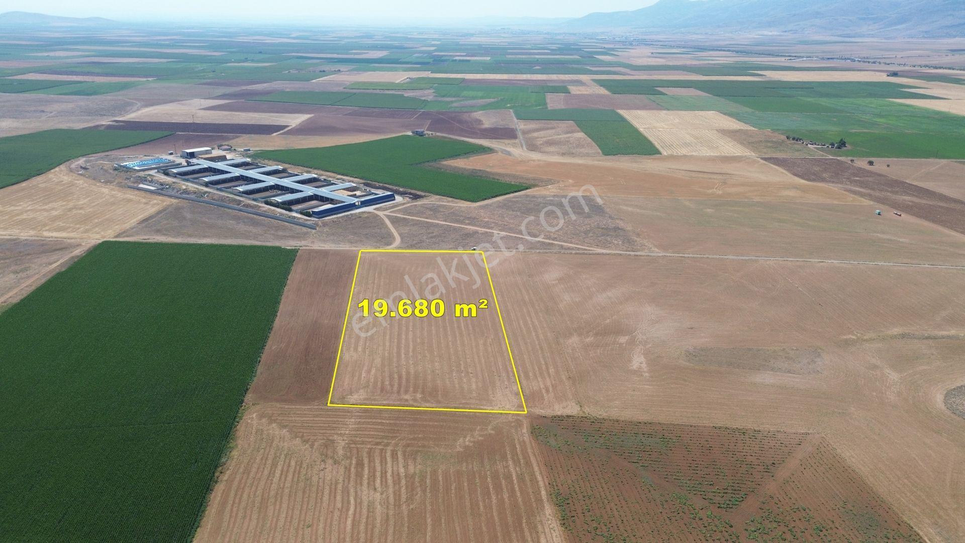 Karaman / Kazımkarabekir / Kızılkuyu Da 19.680 M² Müstakil Tarla - Görsel 2