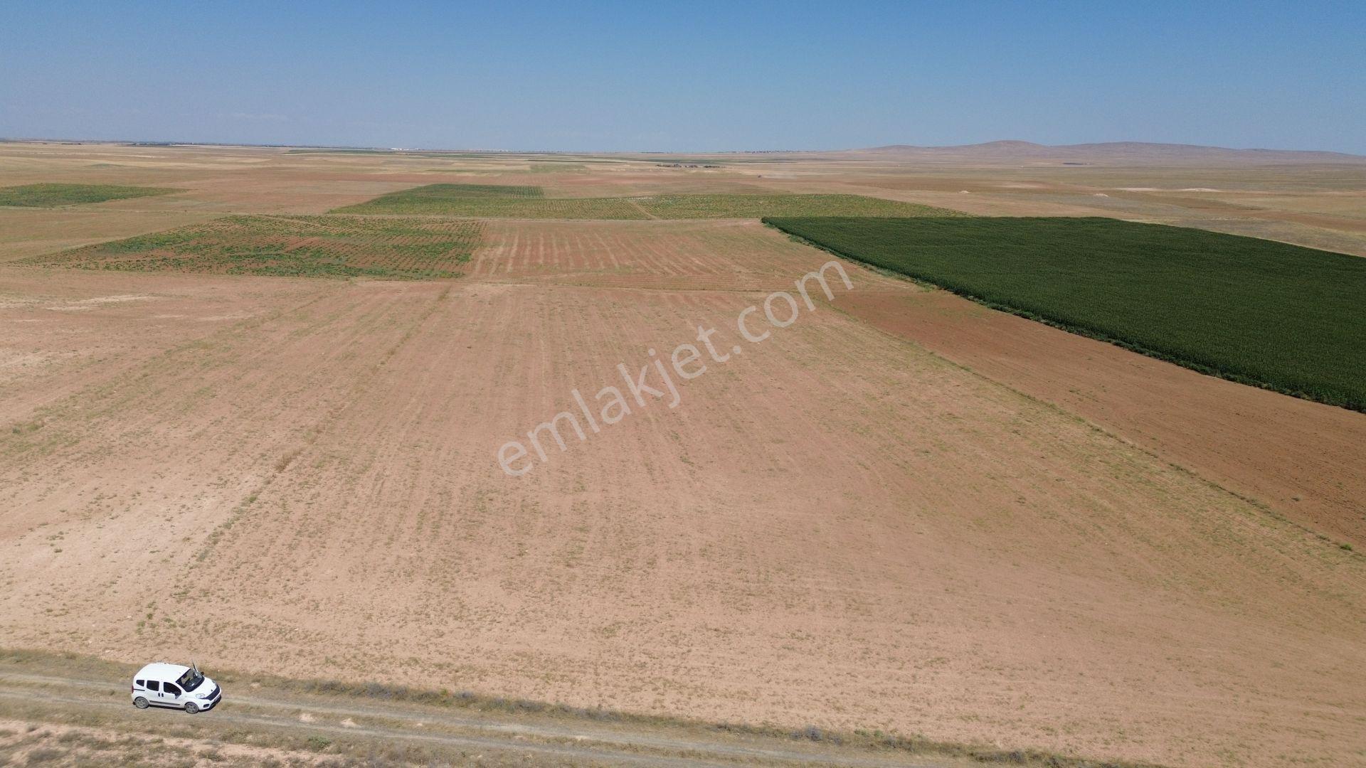 Karaman / Kazımkarabekir / Kızılkuyu Da 19.680 M² Müstakil Tarla - Görsel 4