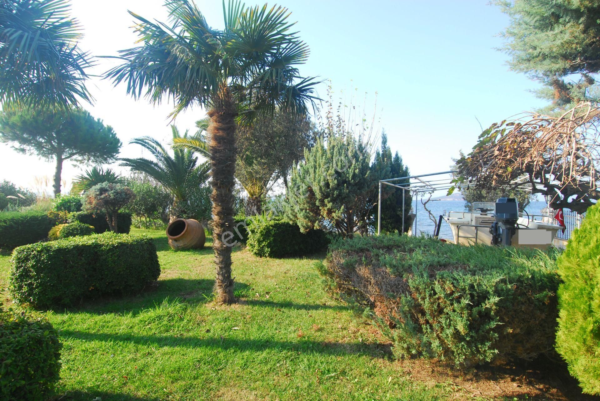 Balıkesir Ayvalık Ta Satılık Muhtesem Villa.denize Sıfır - Görsel 9