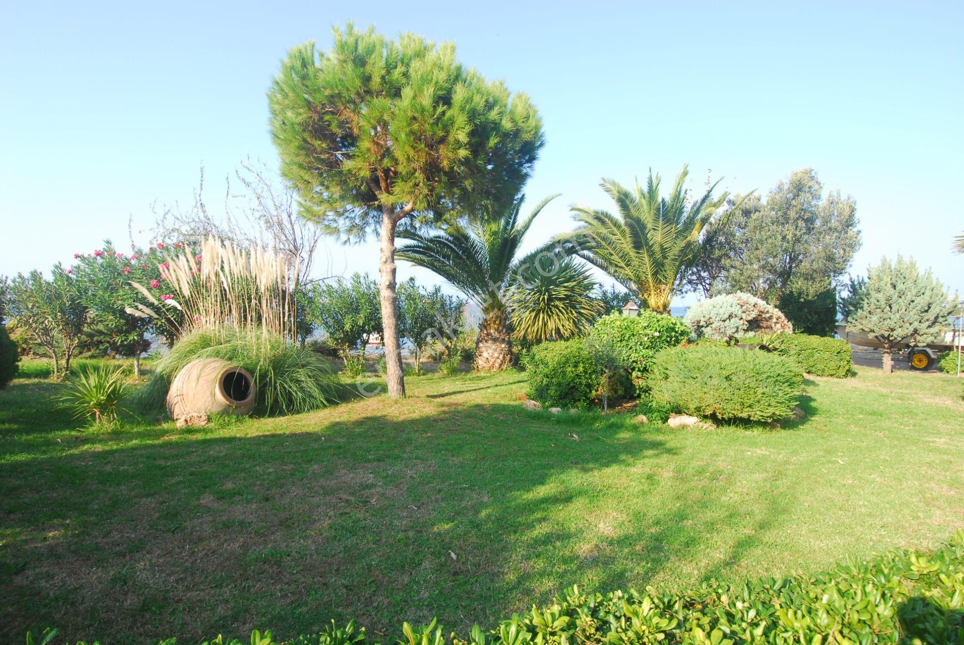 Balıkesir Ayvalık Ta Satılık Muhtesem Villa.denize Sıfır - Görsel 10