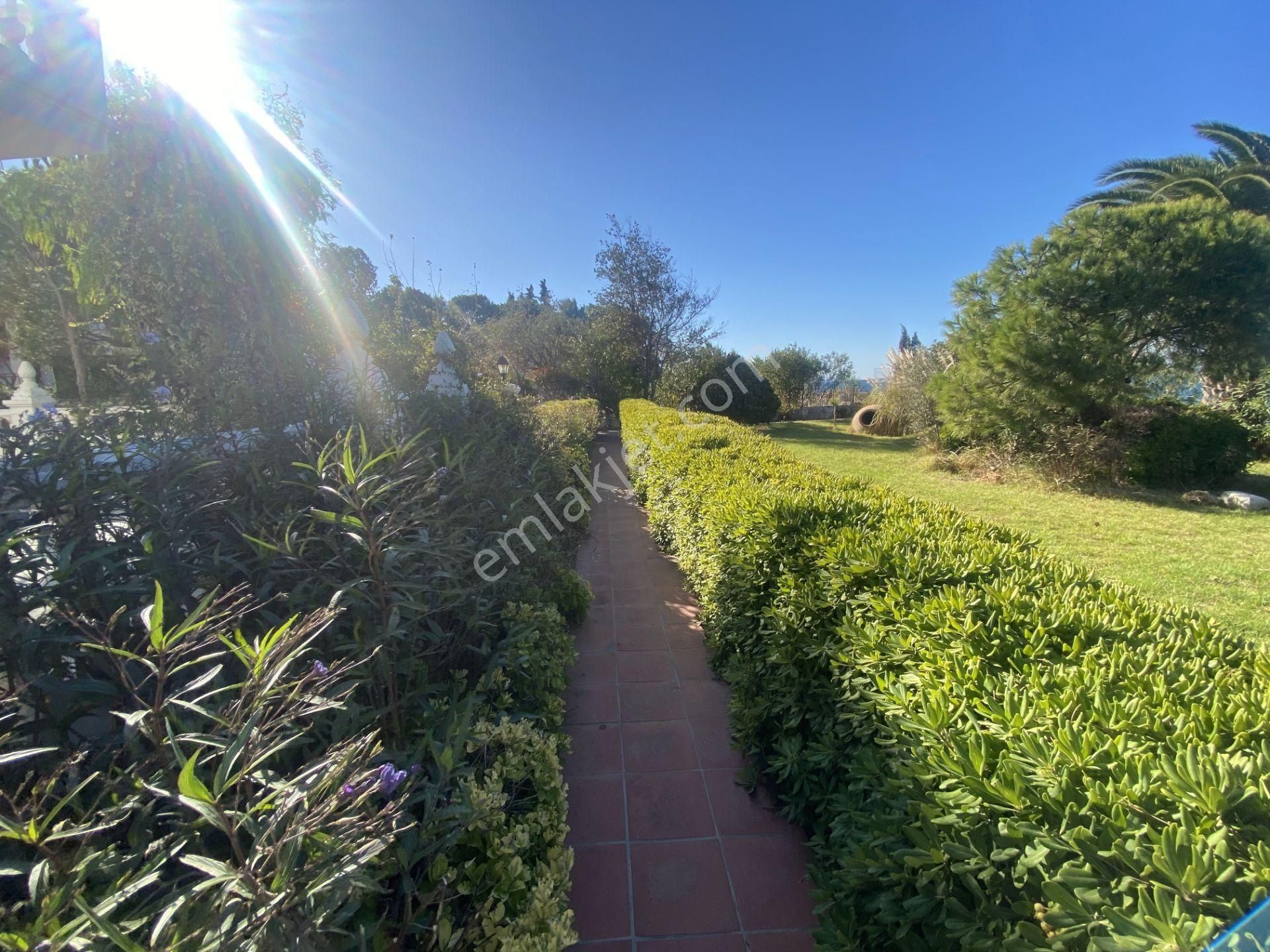 Balıkesir Ayvalık Ta Satılık Muhtesem Villa.denize Sıfır - Görsel 14