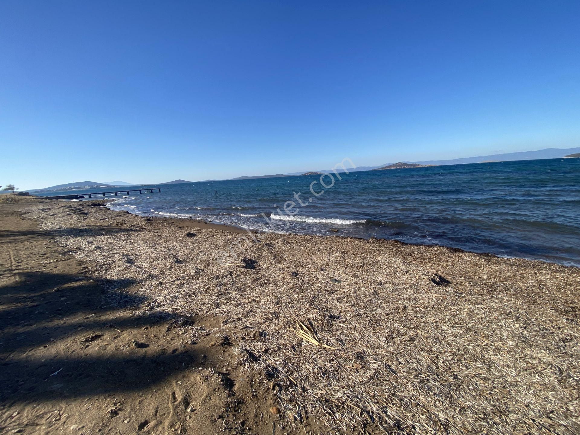 Balıkesir Ayvalık Ta Satılık Muhtesem Villa.denize Sıfır - Görsel 23