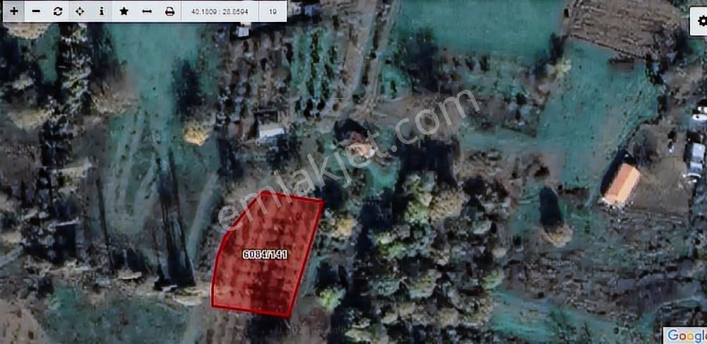 Bursa Nilüfer Kayapa Da Tek Tapu 981 M2 (70 Adet) Meyve Bahçesi - Görsel 6