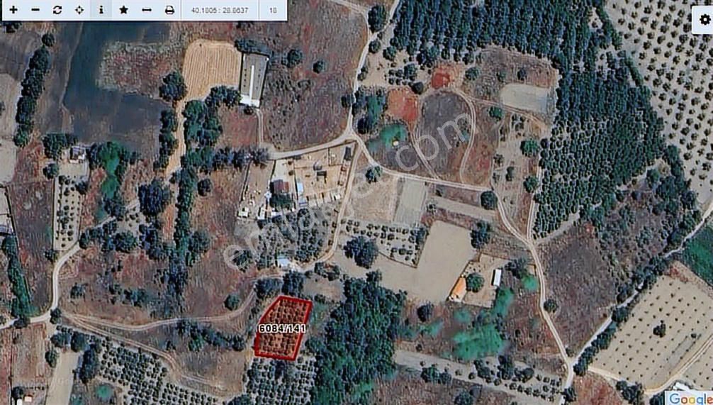 Bursa Nilüfer Kayapa Da Tek Tapu 981 M2 (70 Adet) Meyve Bahçesi - Görsel 8