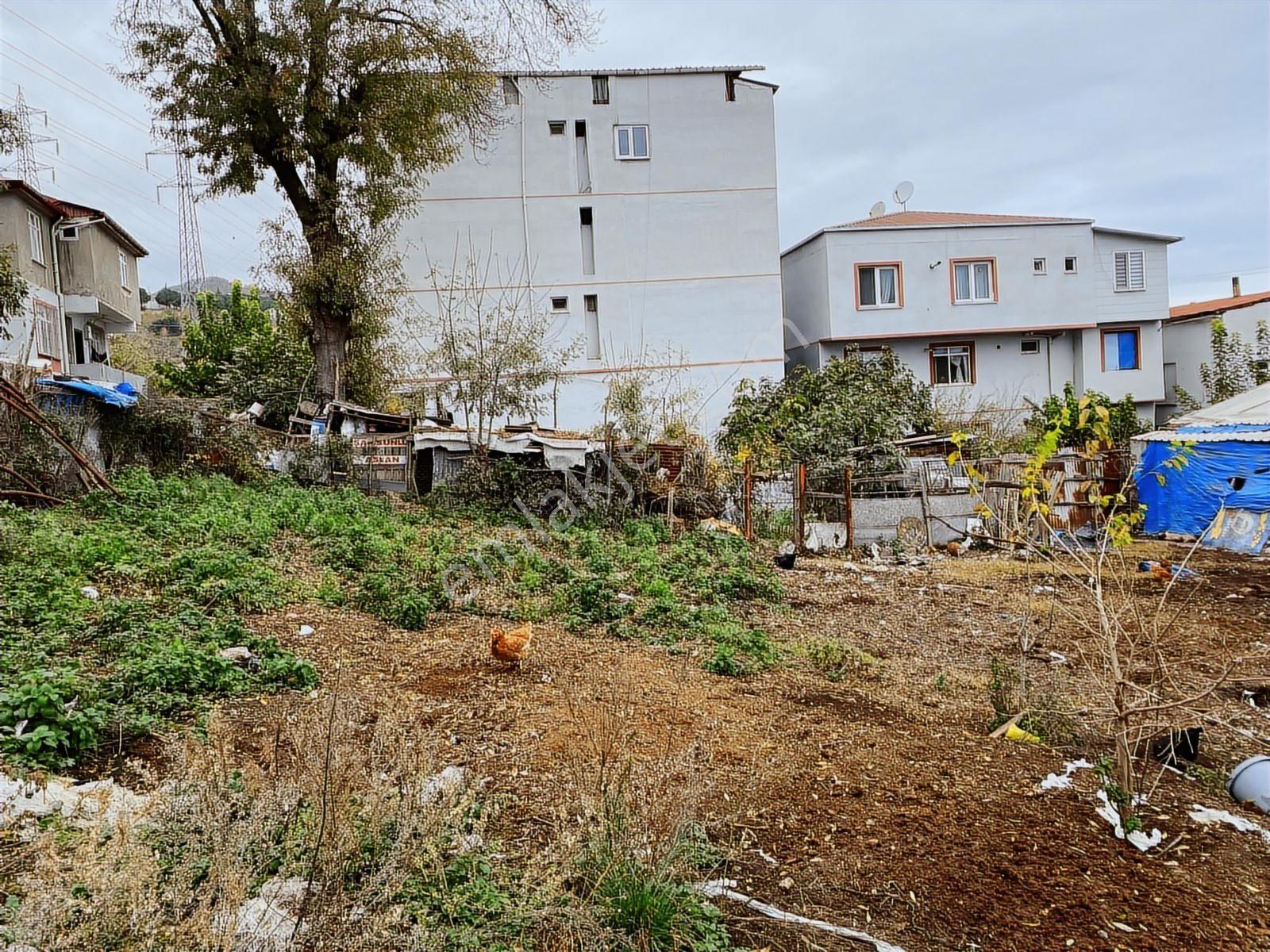 Duru Yapı Gayrimenkulden Satılık 441 M2 Arsa - Görsel 4