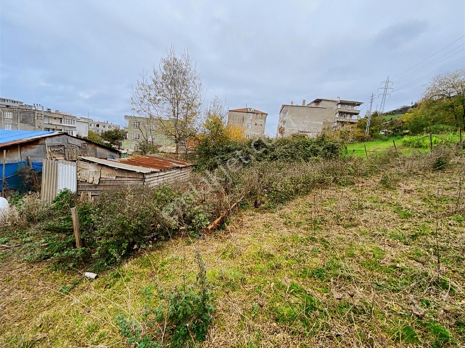 Duru Yapı Gayrimenkulden Satılık 441 M2 Arsa - Görsel 14