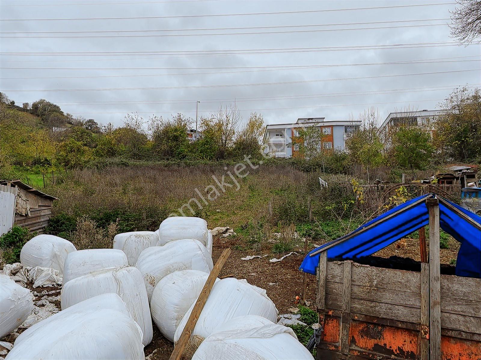 Duru Yapı Gayrimenkulden Satılık 441 M2 Arsa - Görsel 3