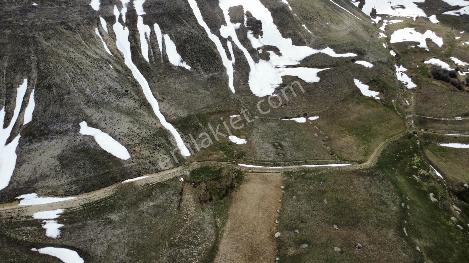 Erzurum Aziziye'ye Satılık Tarla - Görsel 19