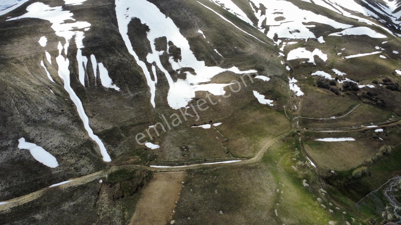 Erzurum Aziziye'ye Satılık Tarla - Görsel 17