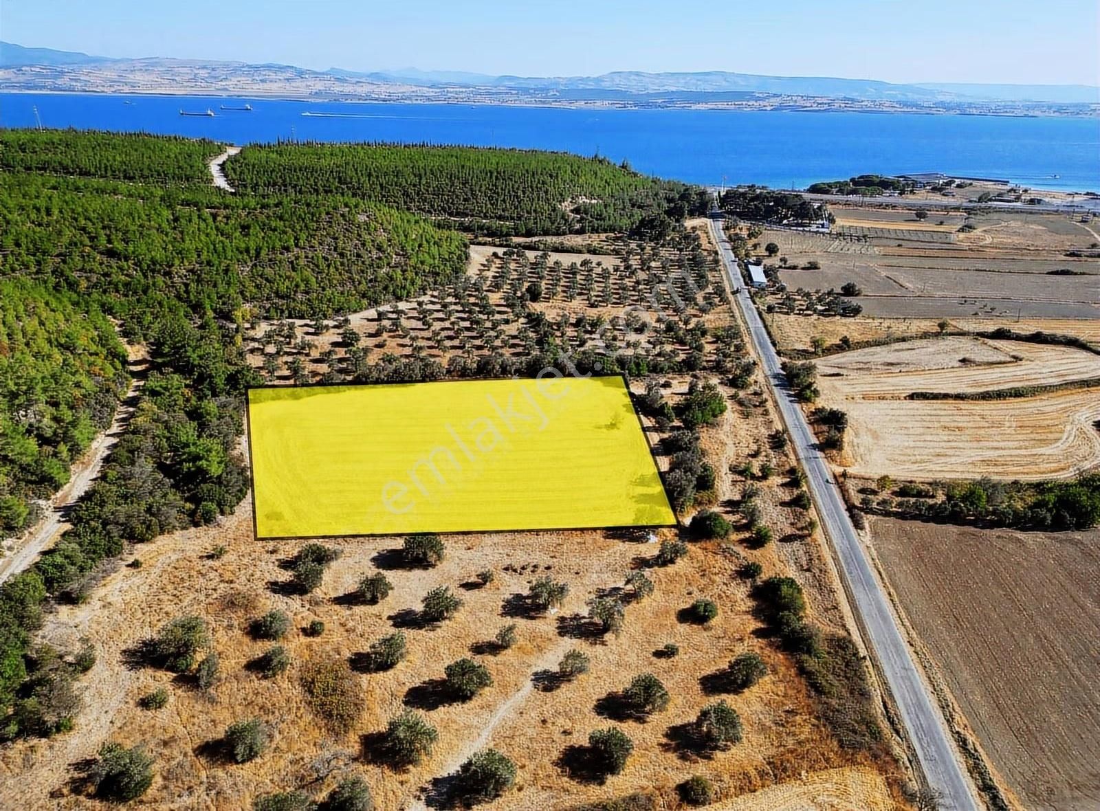 Eceabat Yalova Köyü Full Deniz Manzaralı 10 Dönüm Arazi - Görsel 16