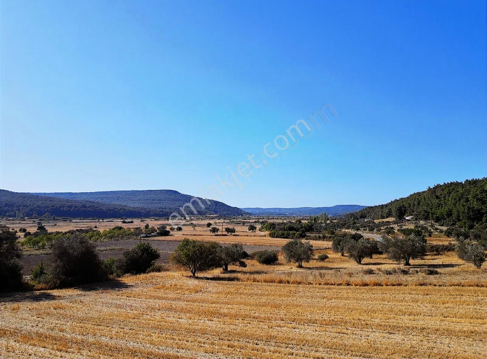 Eceabat Yalova Köyü Full Deniz Manzaralı 10 Dönüm Arazi - Görsel 13