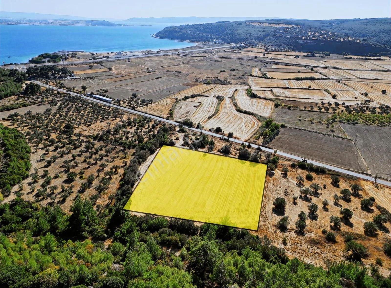 Eceabat Yalova Köyü Full Deniz Manzaralı 10 Dönüm Arazi - Görsel 23