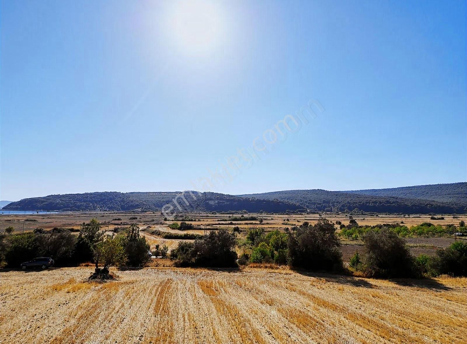 Eceabat Yalova Köyü Full Deniz Manzaralı 10 Dönüm Arazi - Görsel 11