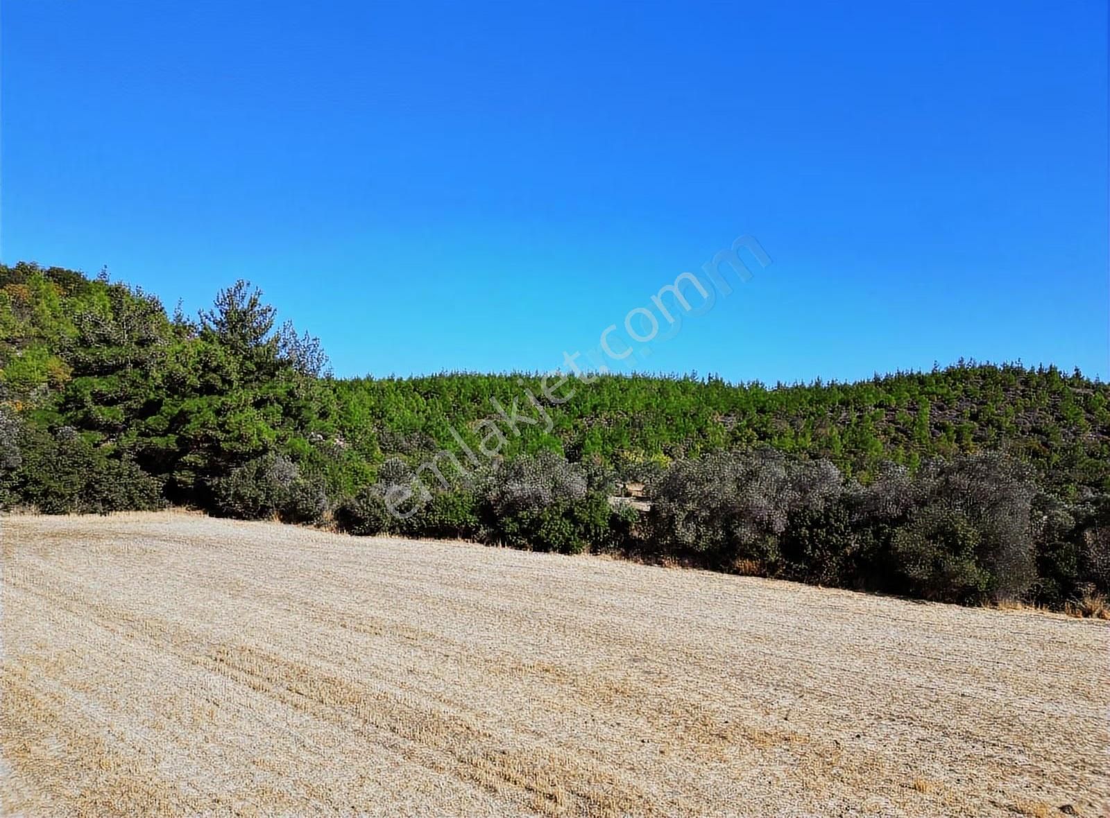 Eceabat Yalova Köyü Full Deniz Manzaralı 10 Dönüm Arazi - Görsel 3