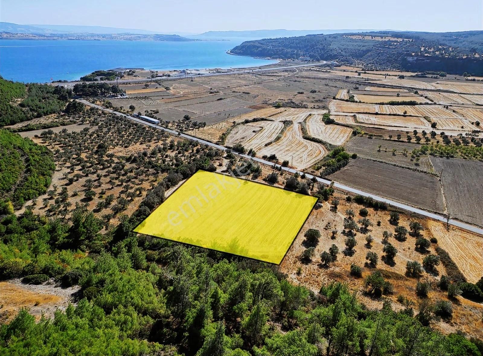 Eceabat Yalova Köyü Full Deniz Manzaralı 10 Dönüm Arazi