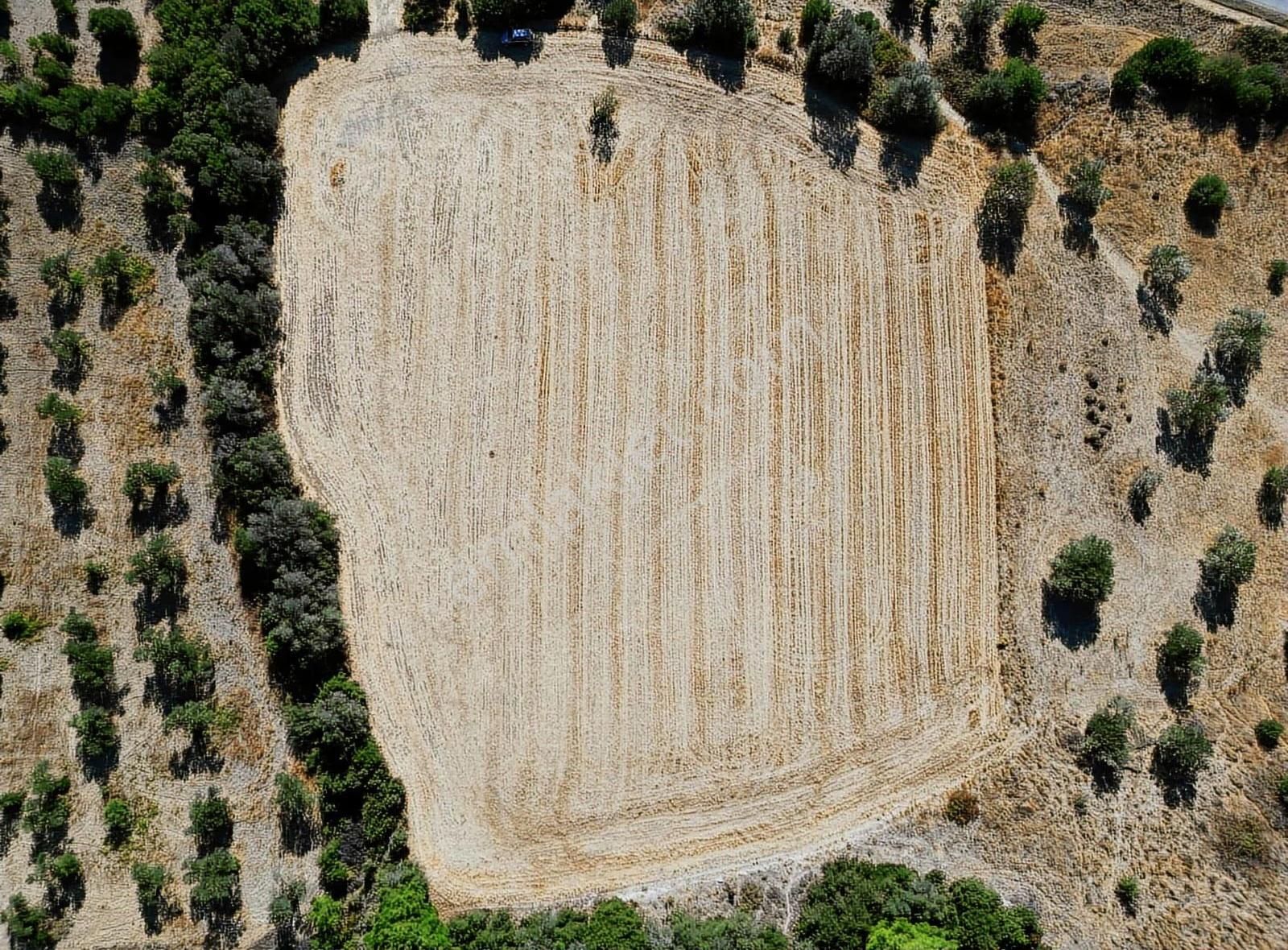 Eceabat Yalova Köyü Full Deniz Manzaralı 10 Dönüm Arazi - Görsel 22