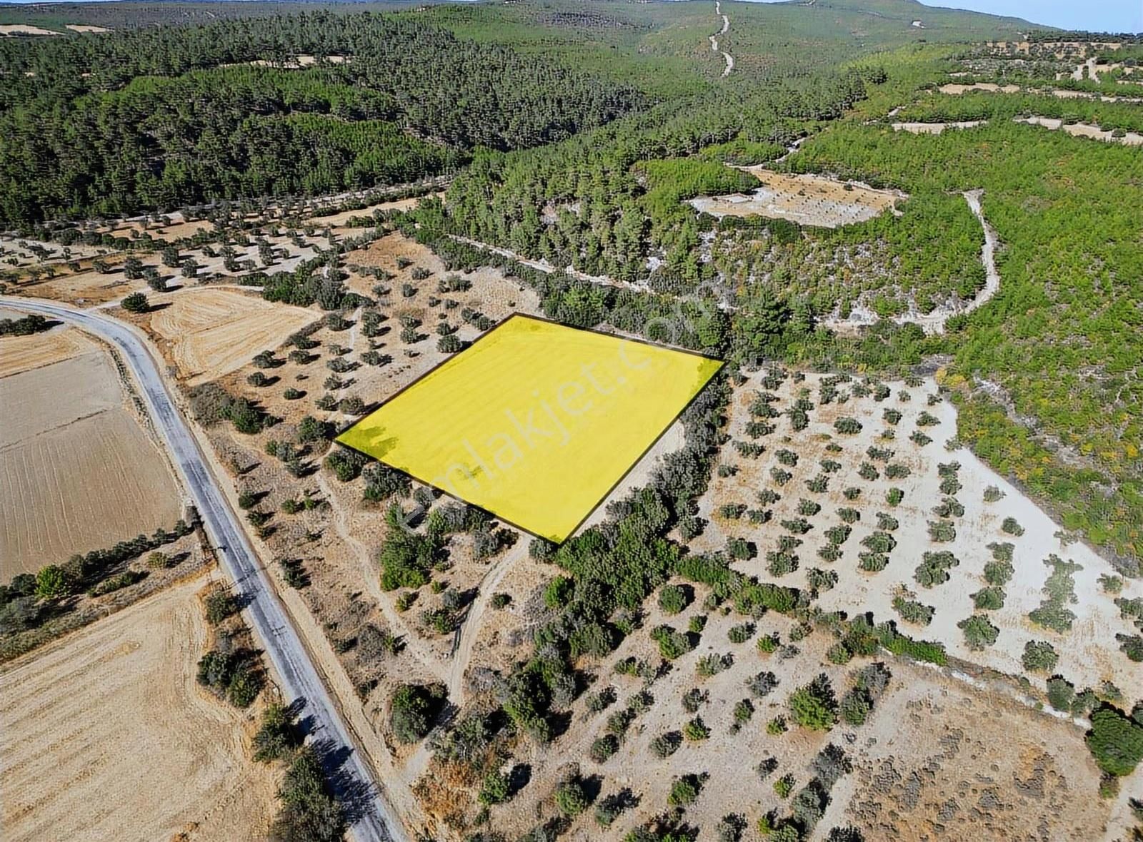 Eceabat Yalova Köyü Full Deniz Manzaralı 10 Dönüm Arazi - Görsel 8