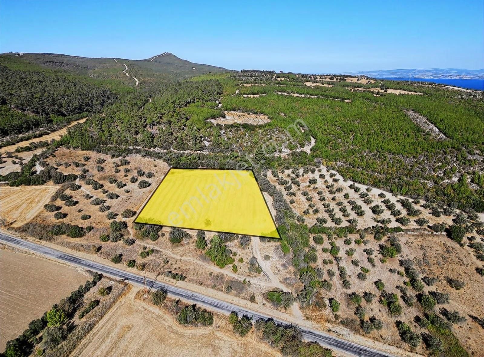 Eceabat Yalova Köyü Full Deniz Manzaralı 10 Dönüm Arazi - Görsel 2