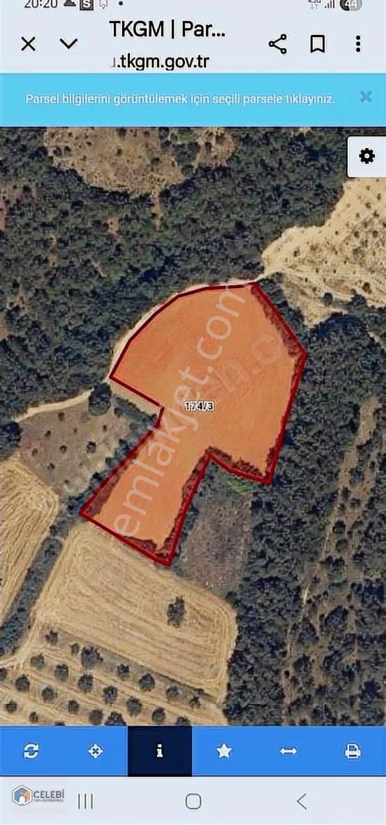 Çelebi Emlak Tan Yalova Köyünde Mükemmel Çiftlik Arazisi - Görsel 9