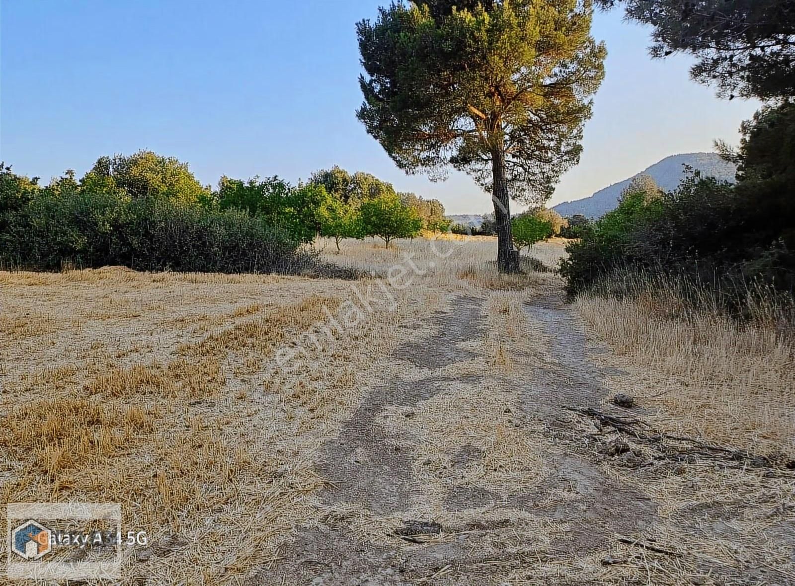 Çelebi Emlak Tan Yalova Köyünde Mükemmel Çiftlik Arazisi - Görsel 11