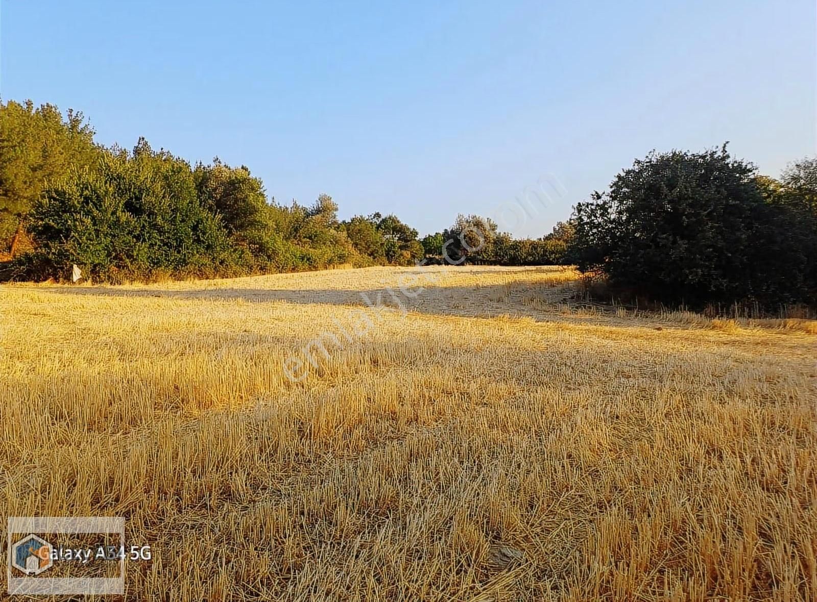 Çelebi Emlak Tan Yalova Köyünde Mükemmel Çiftlik Arazisi - Görsel 2